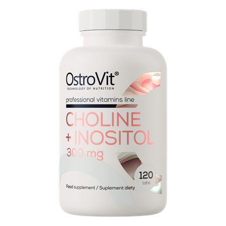 OstroVit Cholín + inozitol 300 mg 120 tabliet