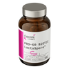OstroVit Pharma PRO-60 BIOTIC LactoSpore 60 kapsúl
